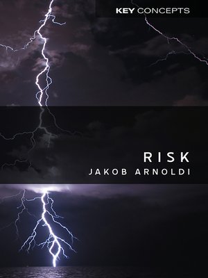 cover image of Risk